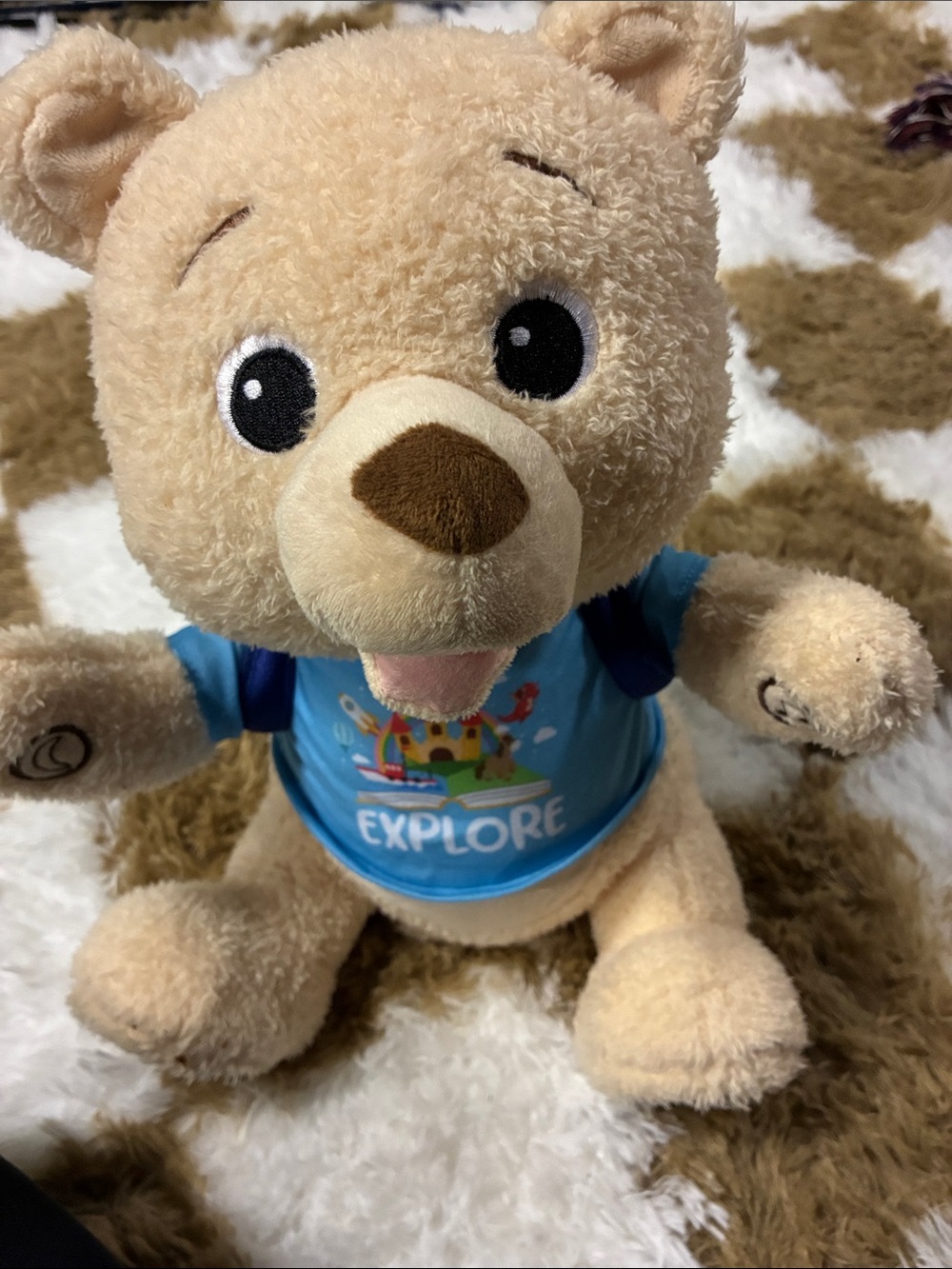 Interactive learning bear
